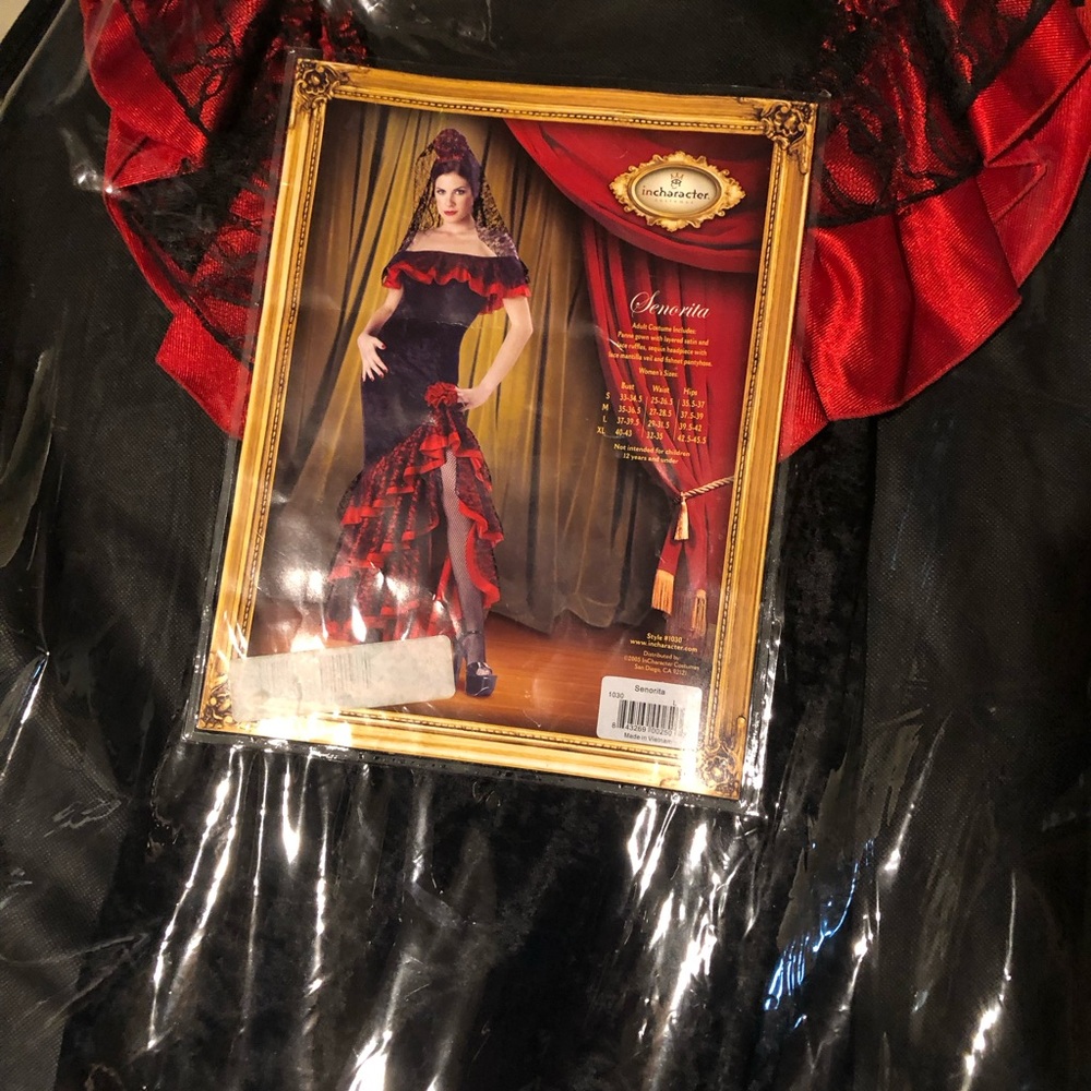Red and Black Costume Dress